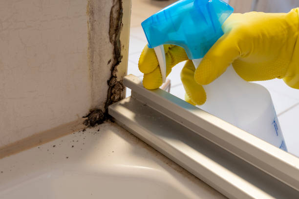 Best Residential Mold Inspection & Testing  in Penn Yan, NY